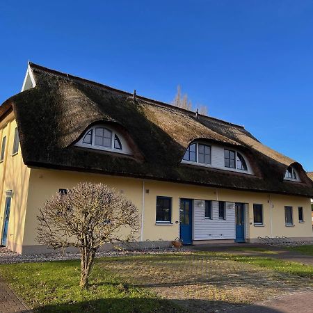Reetdachhaus Holunder 2 Villa Puddemin Dış mekan fotoğraf